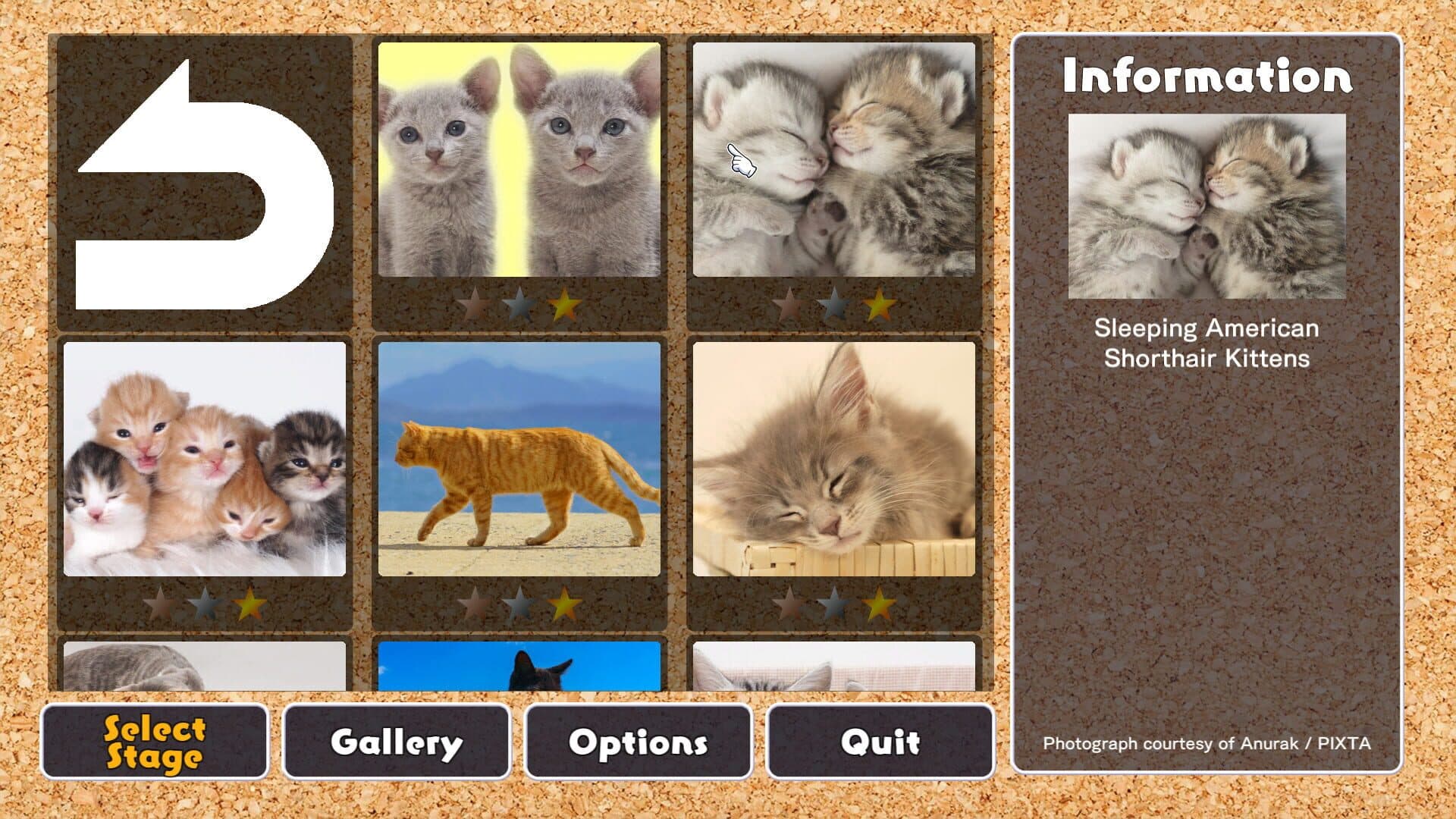 Game screenshot
