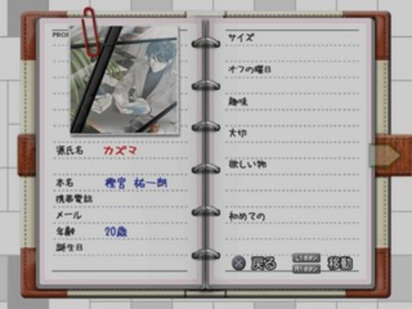 Game screenshot
