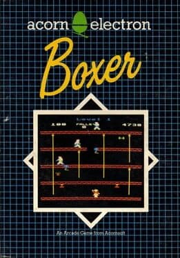 Boxer