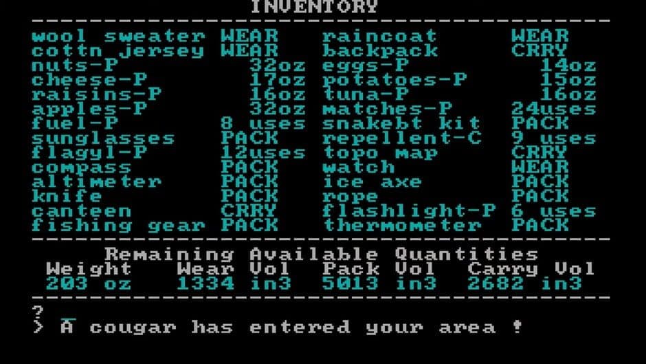 Game screenshot